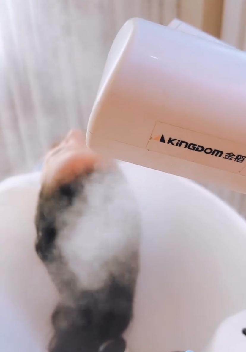 Ozonioterapia capilar